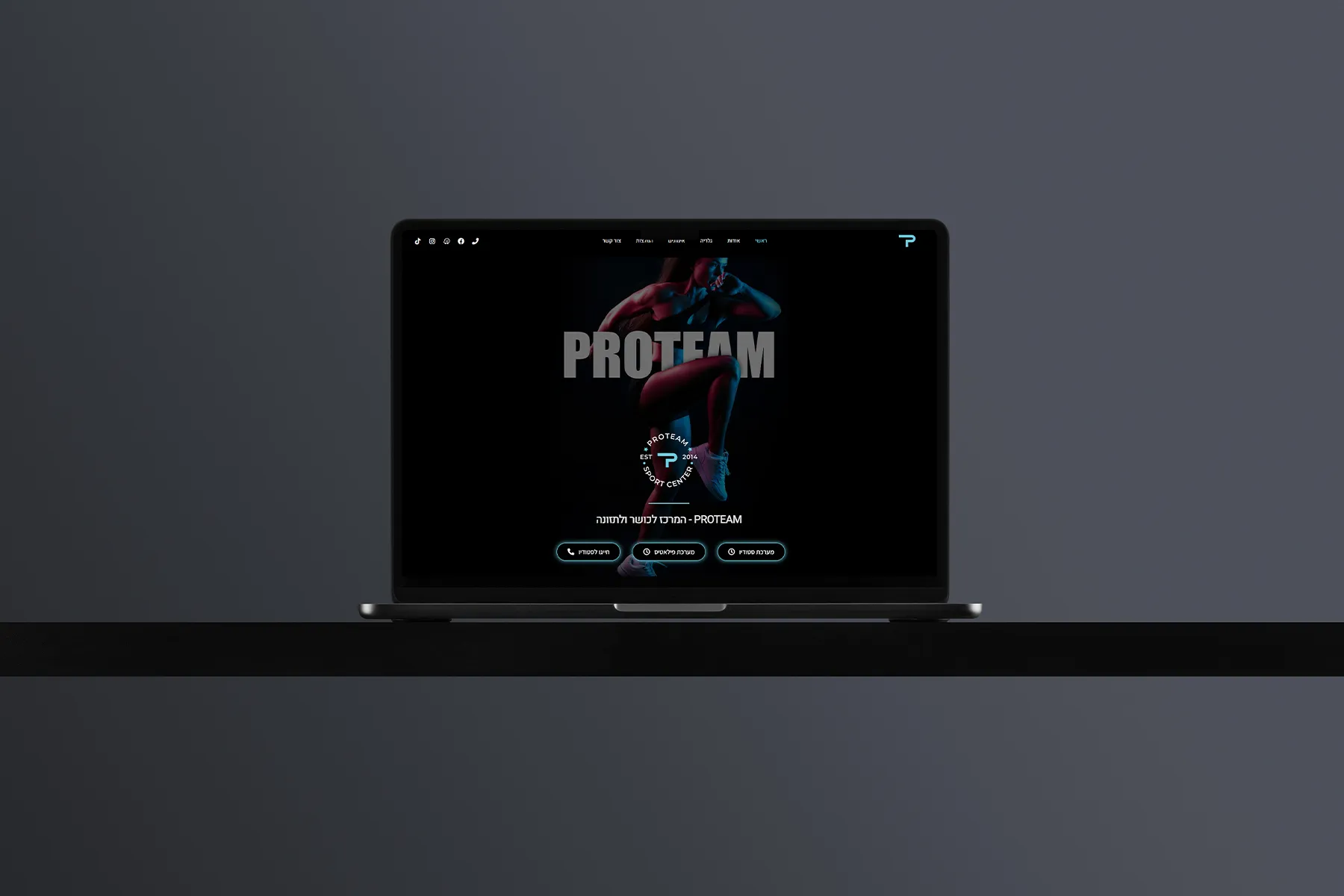 הדמיה של דף הנחיתה של PROTEAM, 1 מתוך 3