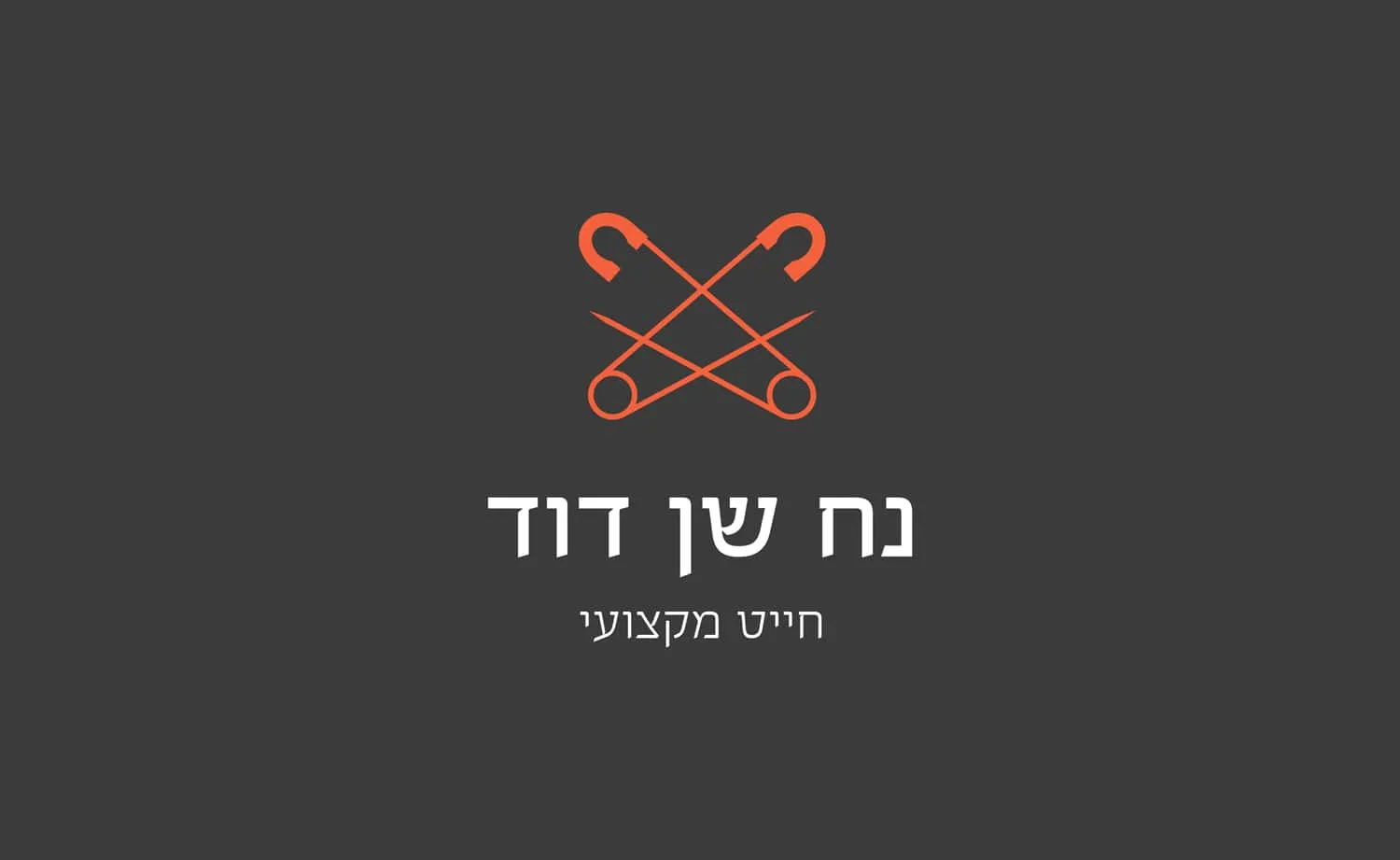 המיתוג של נח שן דוד: הלוגו על רקע אפור כהה