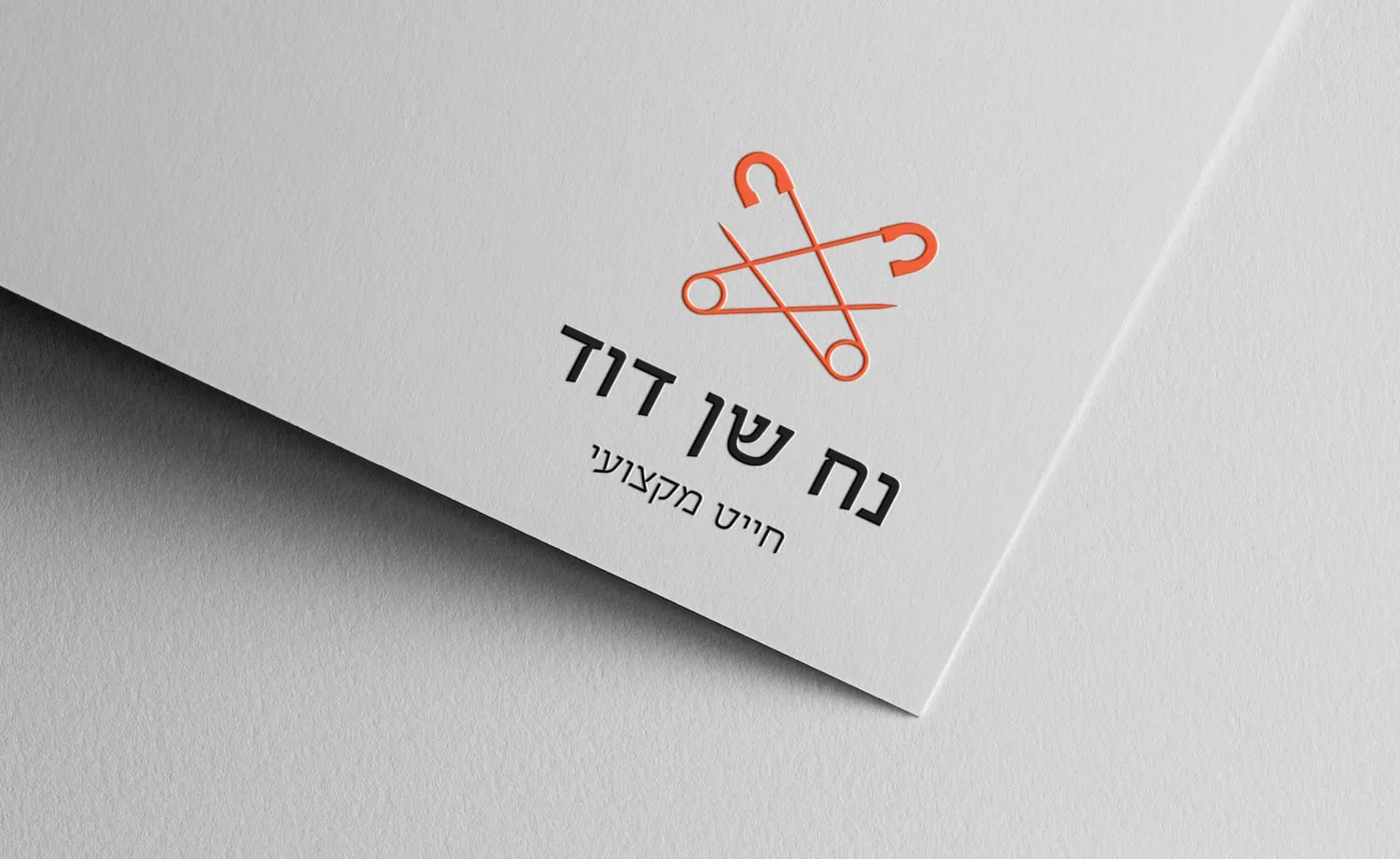 המיתוג של נח שן דוד: הלוגו על נייר